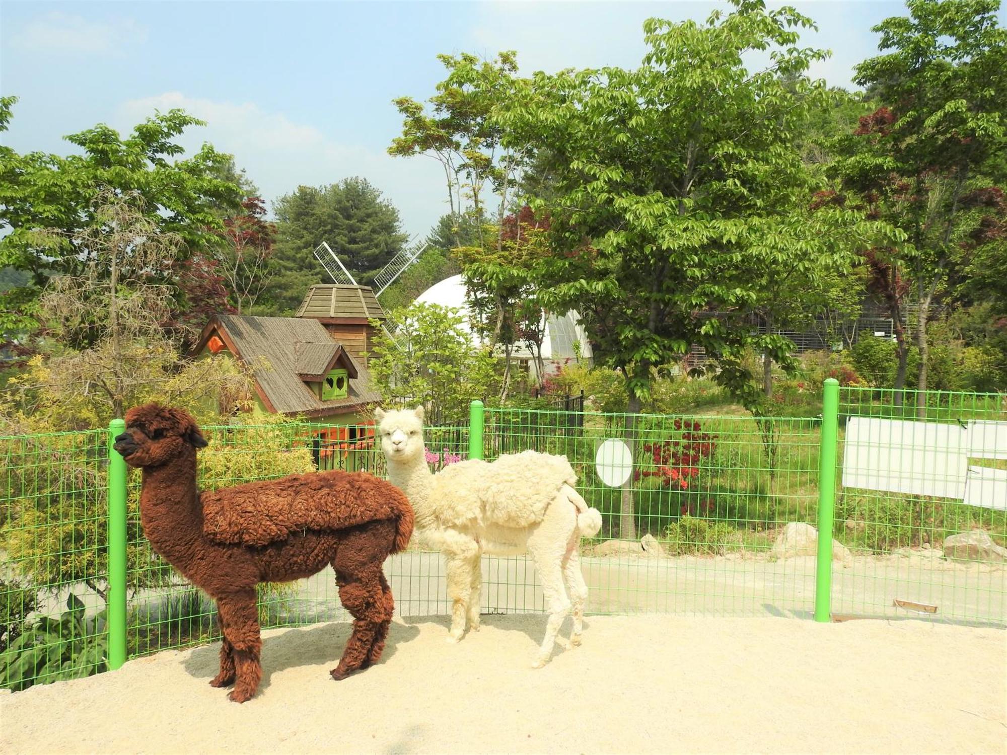 Kensington Resort Kaphjong Kültér fotó