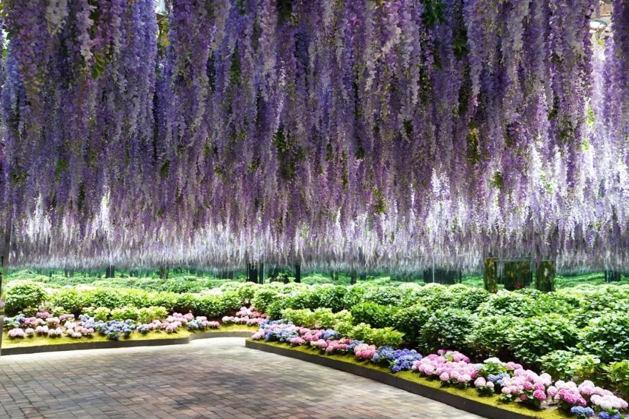 Kensington Resort Kaphjong Kültér fotó